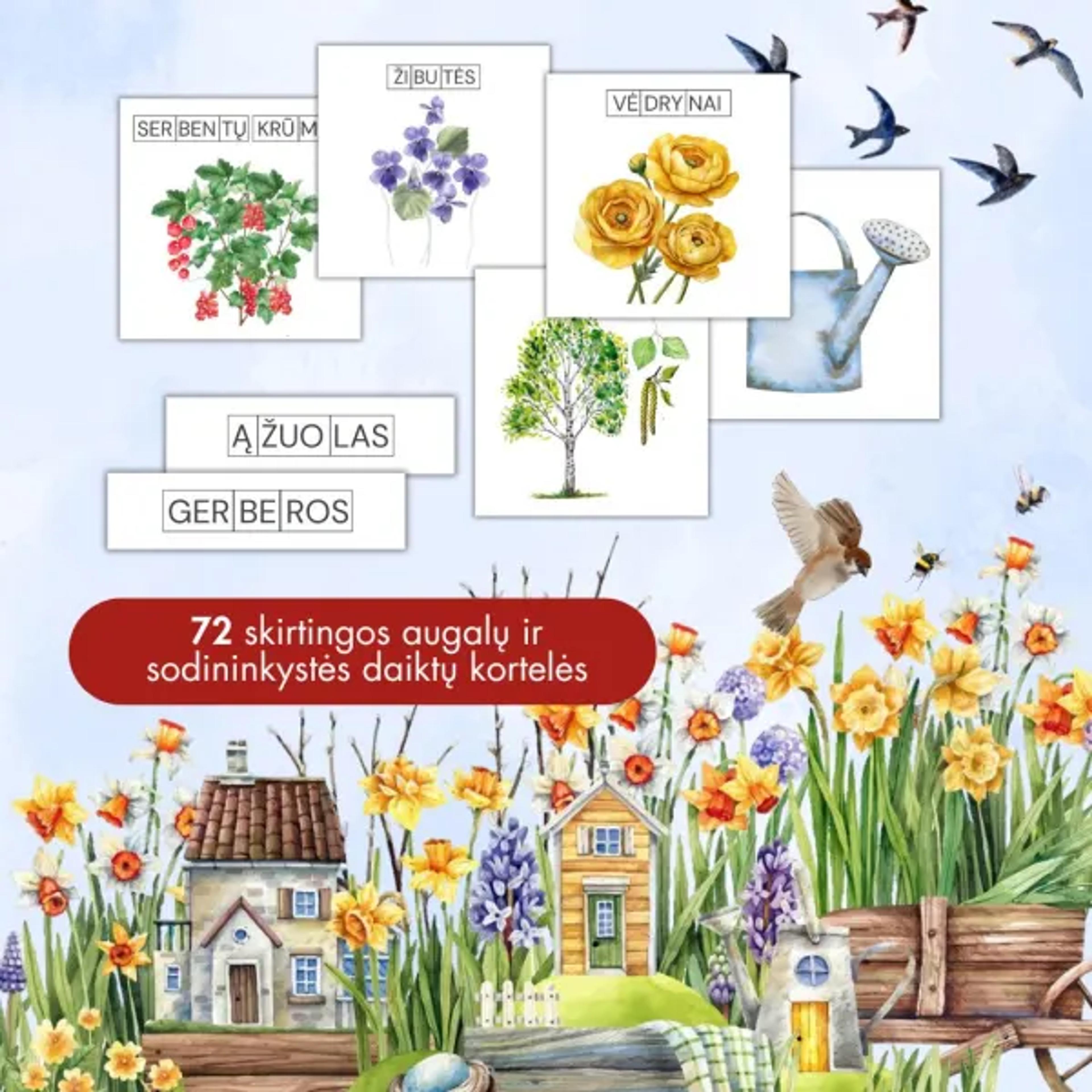 Augalų kortelės