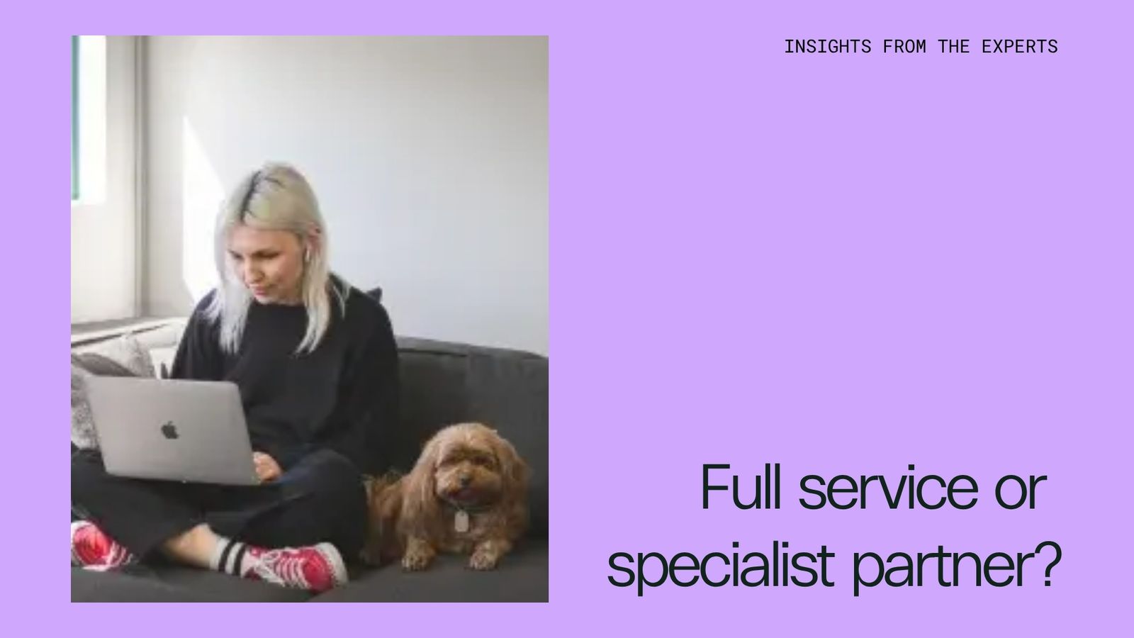 Embarking on a website or app project: Should I go with a full-service or specialist partner?