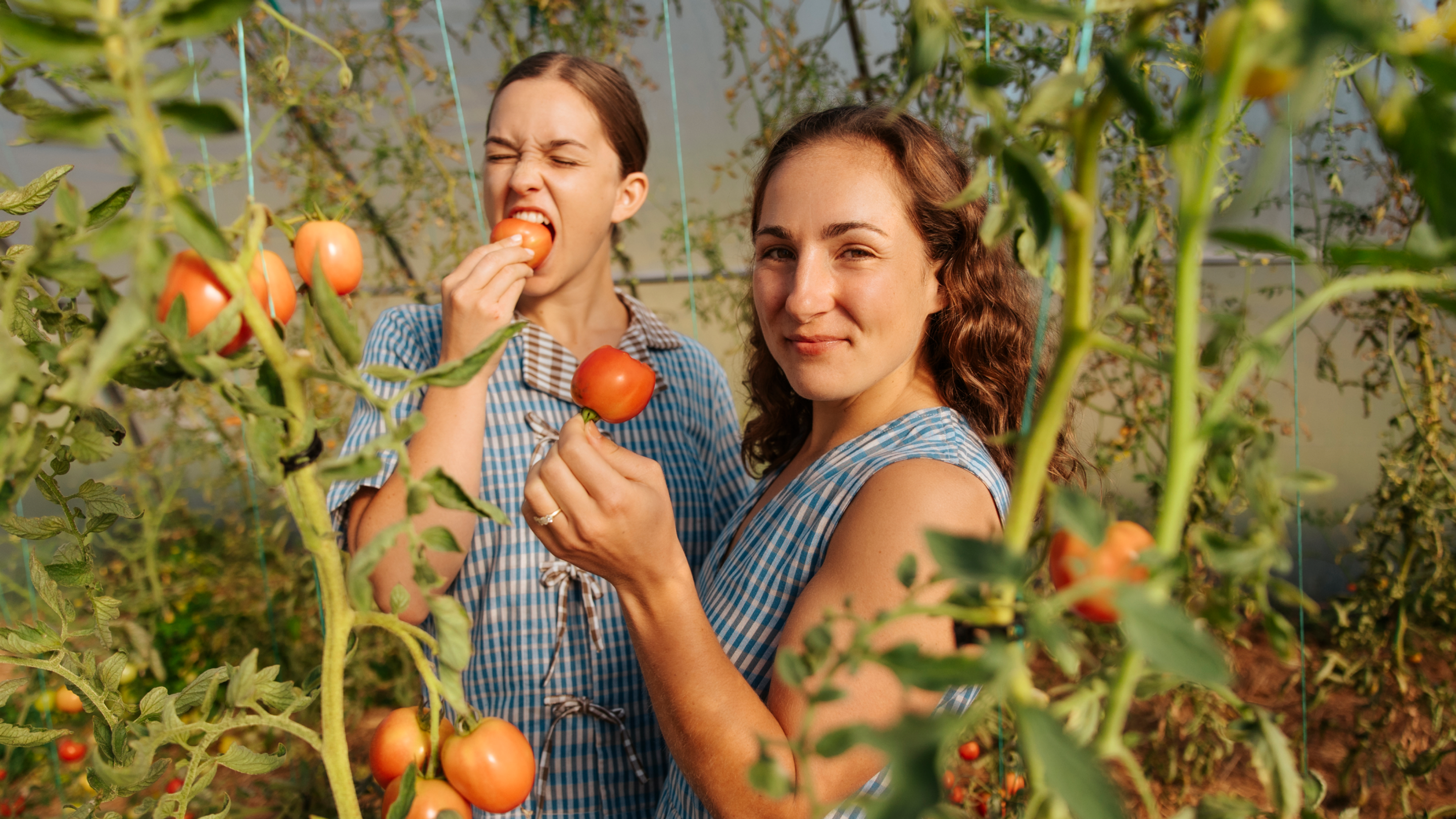 Photo of Margo & Rosa picking tomatoes