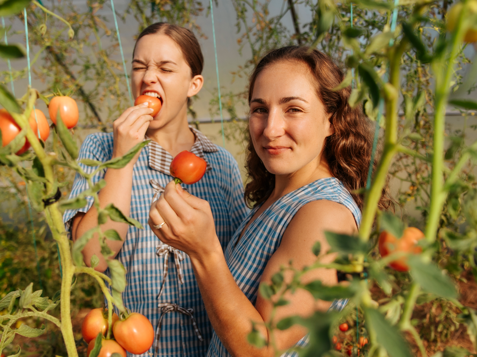 Photo of Margo & Rosa picking tomatoes
