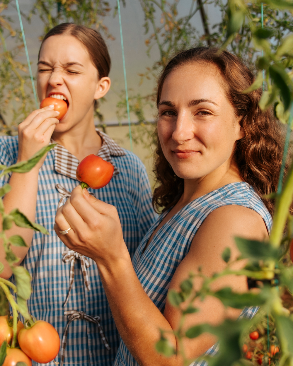 Photo of Margo & Rosa picking tomatoes