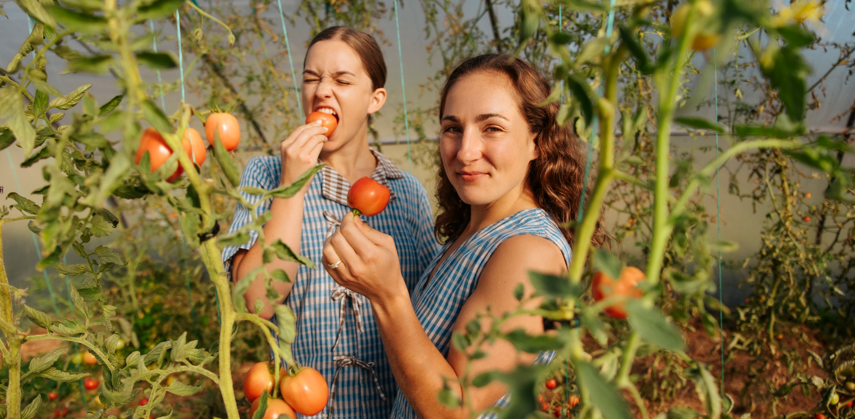 Photo of Margo & Rosa picking tomatoes