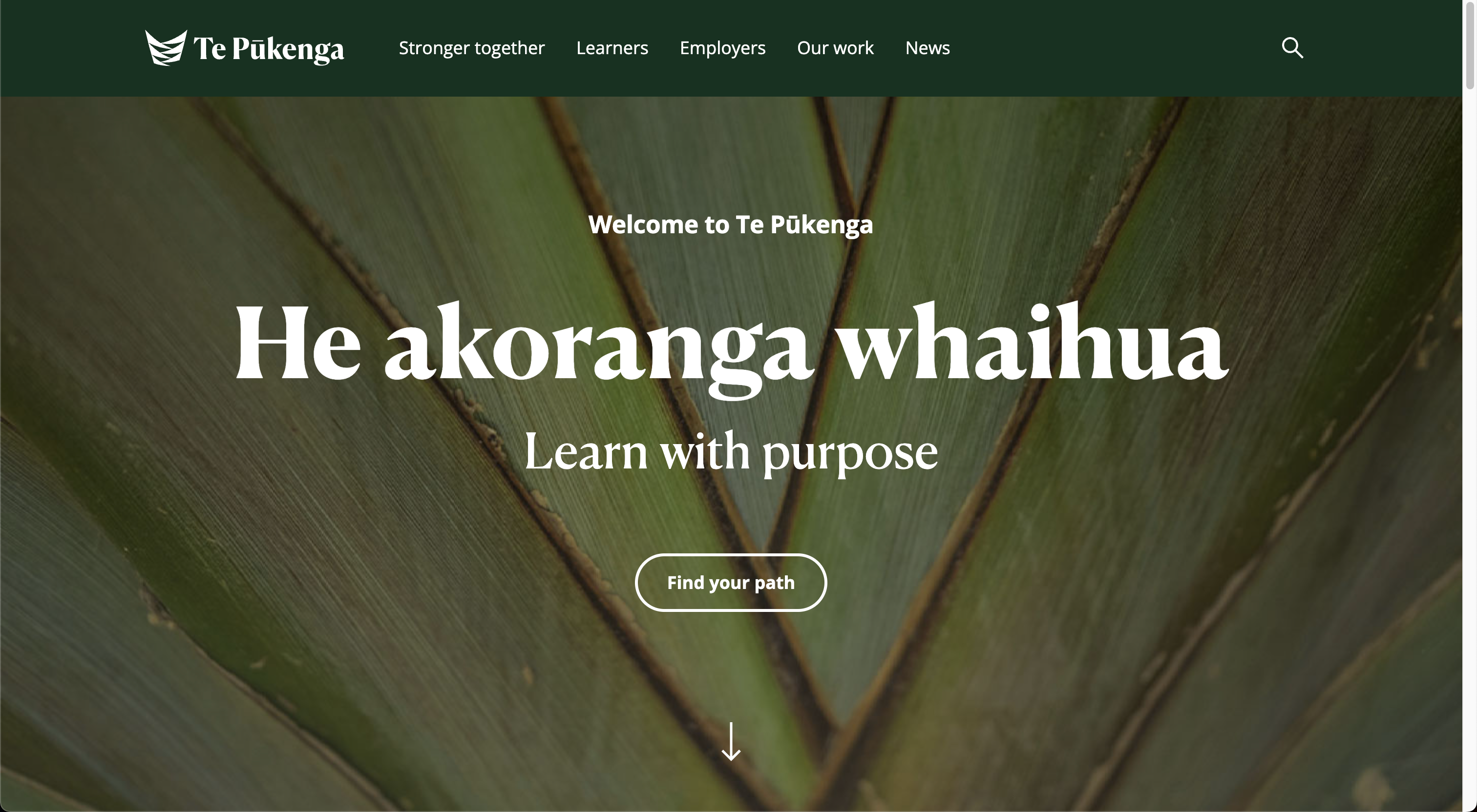 Te Pūkenga homepage