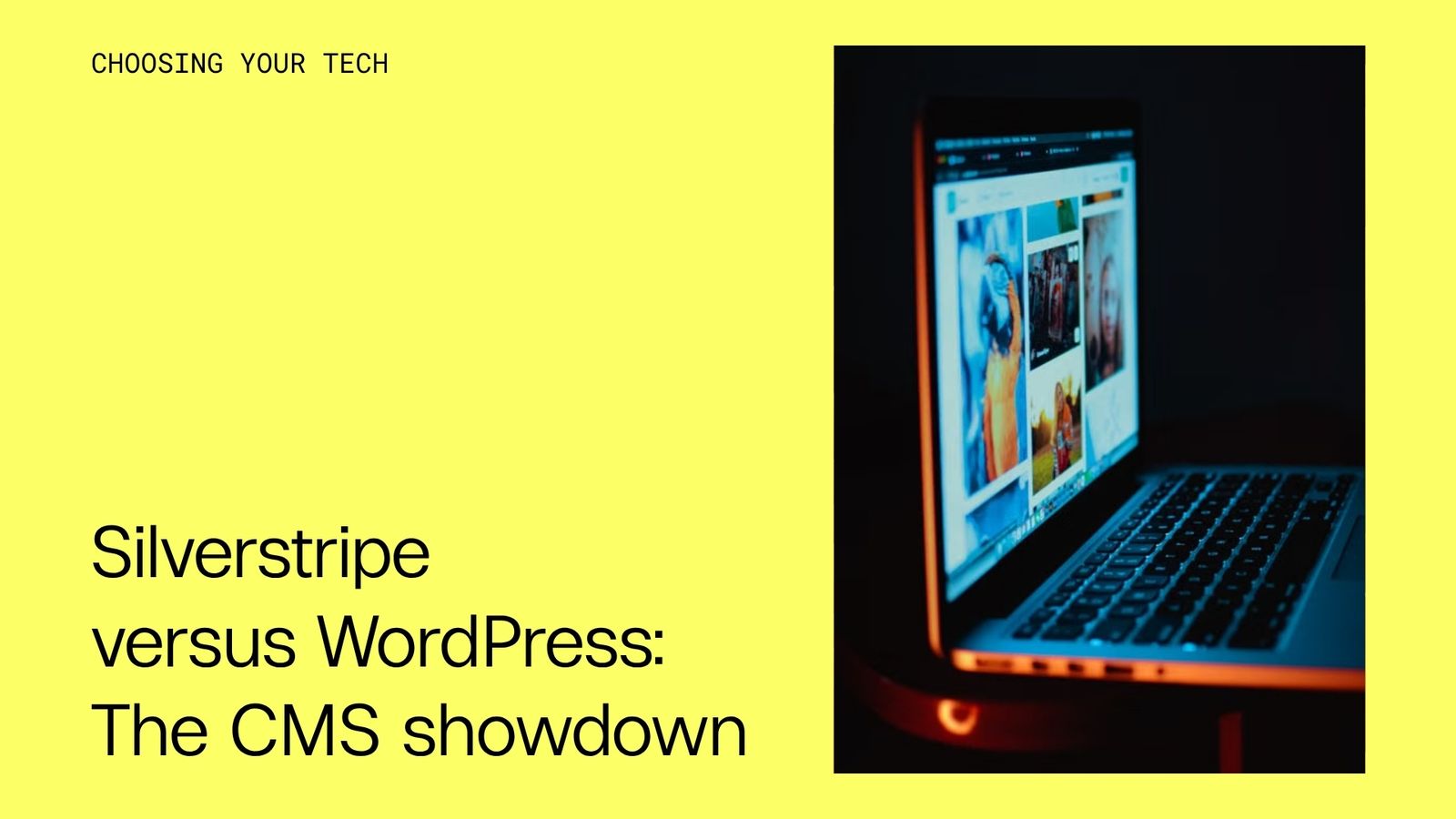 Silverstripe versus WordPress: The CMS showdown
