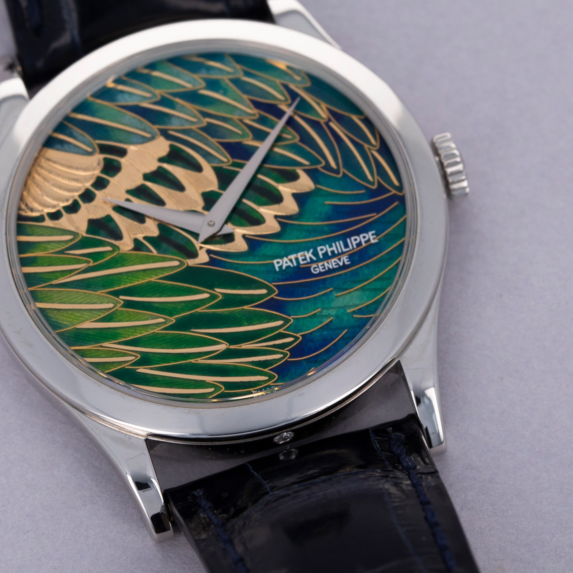 Patek Philippe Calatrava 5077P-089 Pheasant Feathers Cloisonne