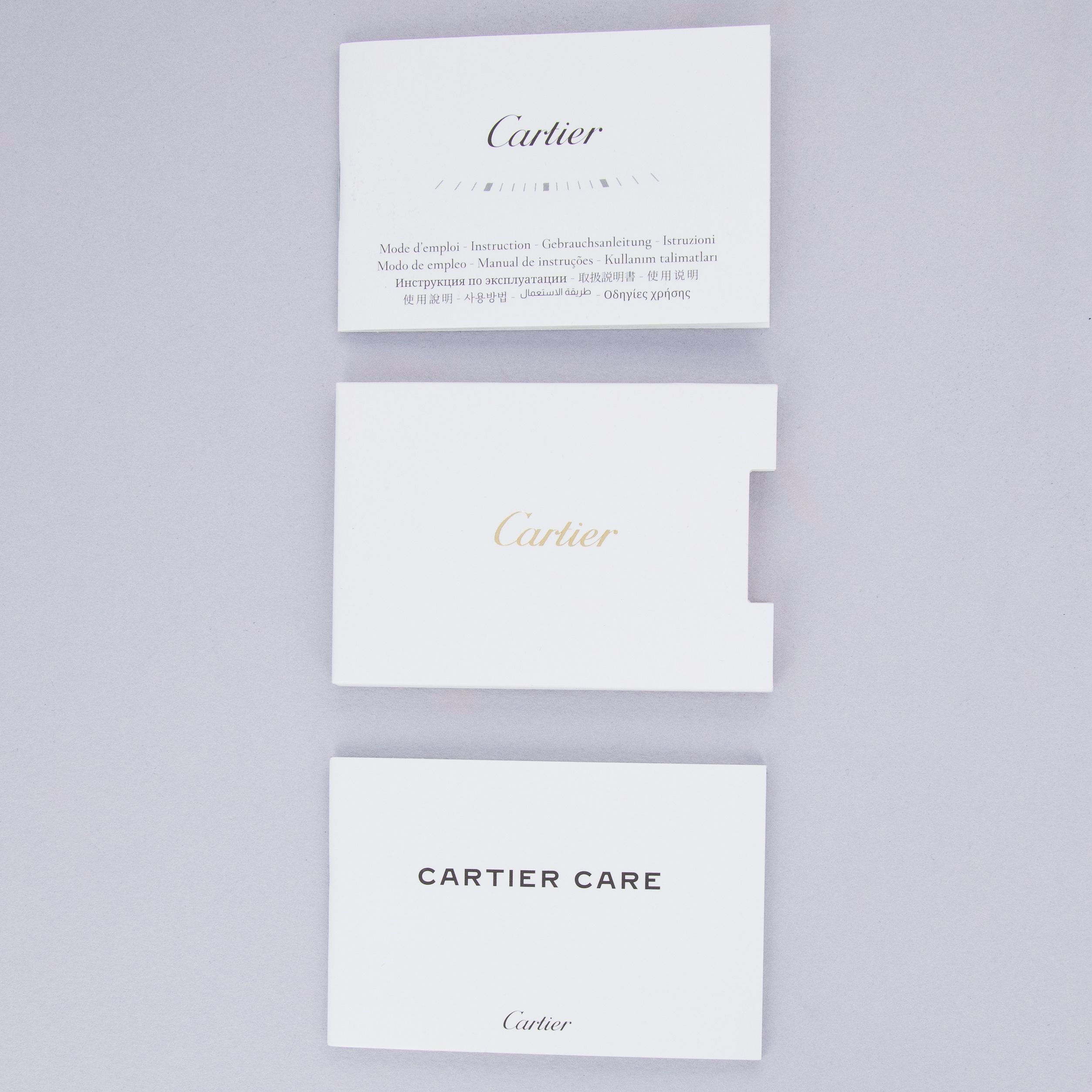 Cartier Santos Dumont Black Lacquered Steel Case WSSA0046