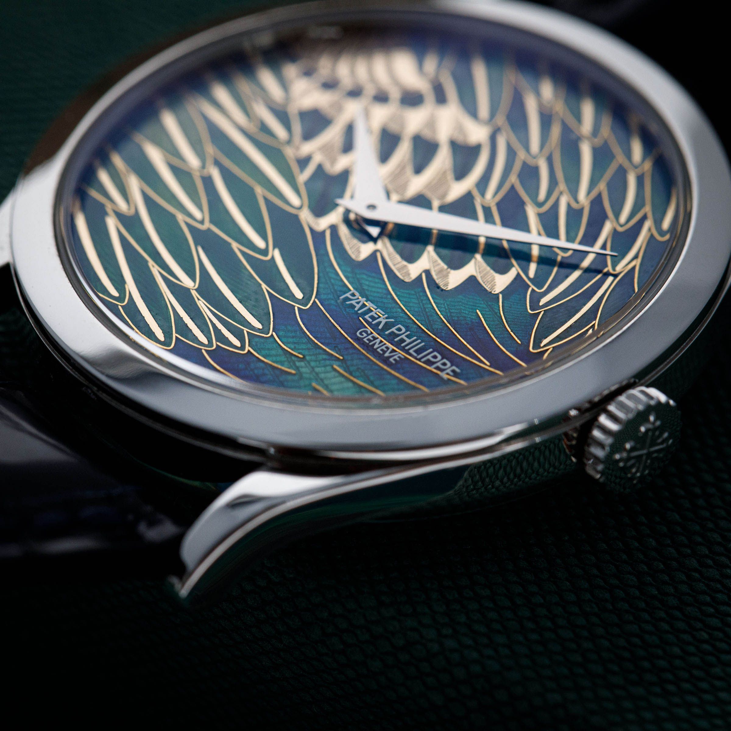 Patek Philippe Calatrava 5077P-089 Pheasant Feathers Cloisonne