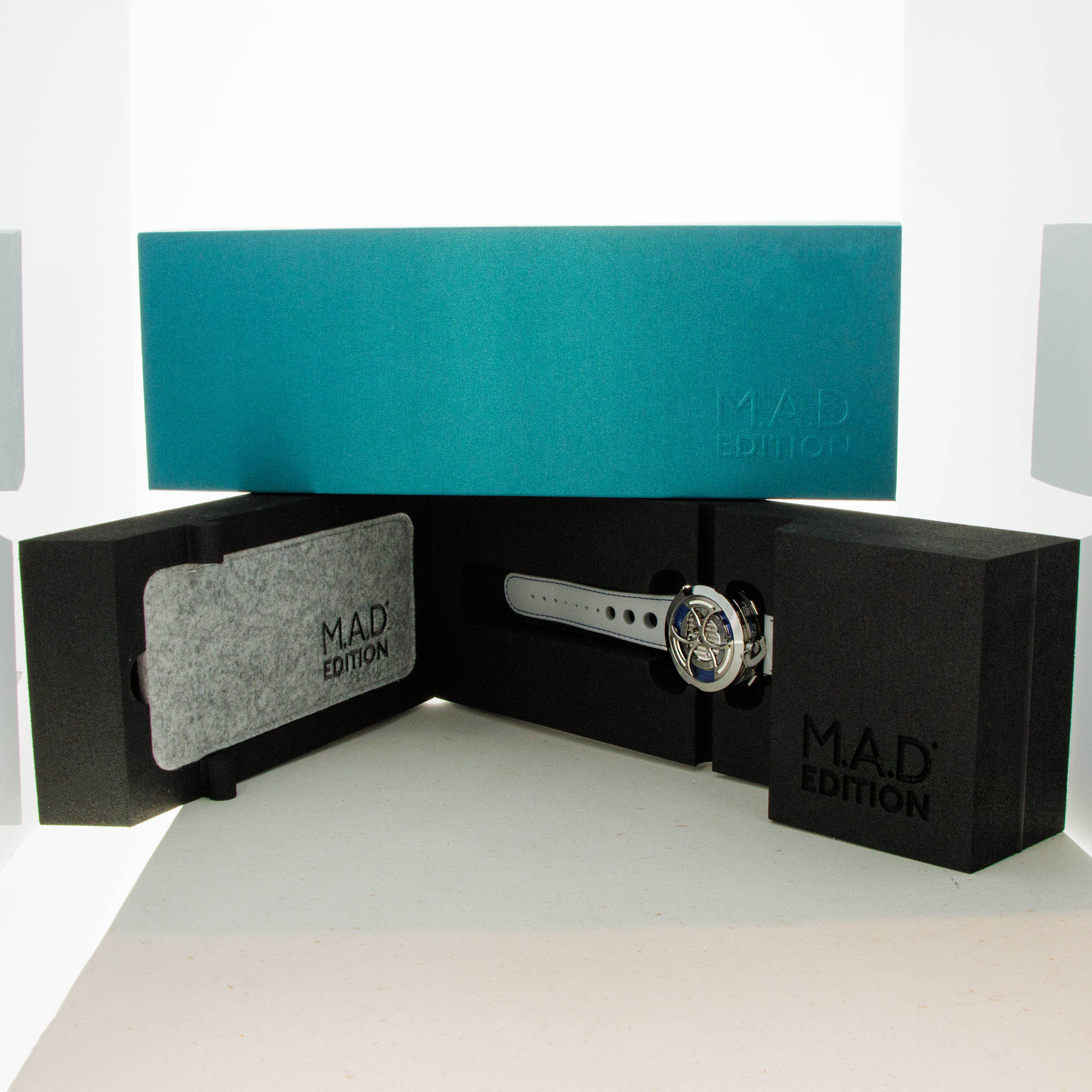 (期間限定)Billbergia 'Mad Max' ビルベルギア マッドマックス | GREEN LUCK