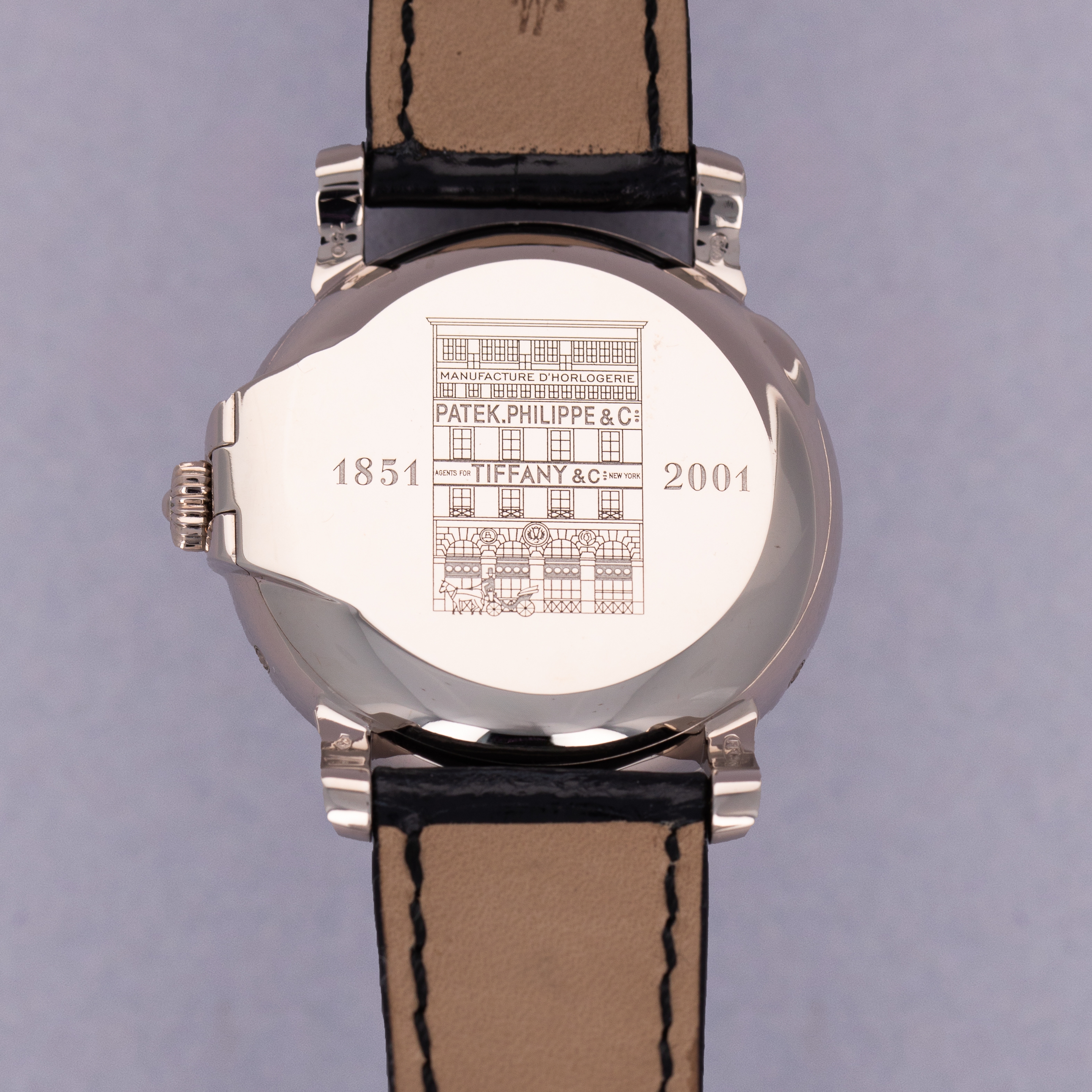 THE CASEBACK