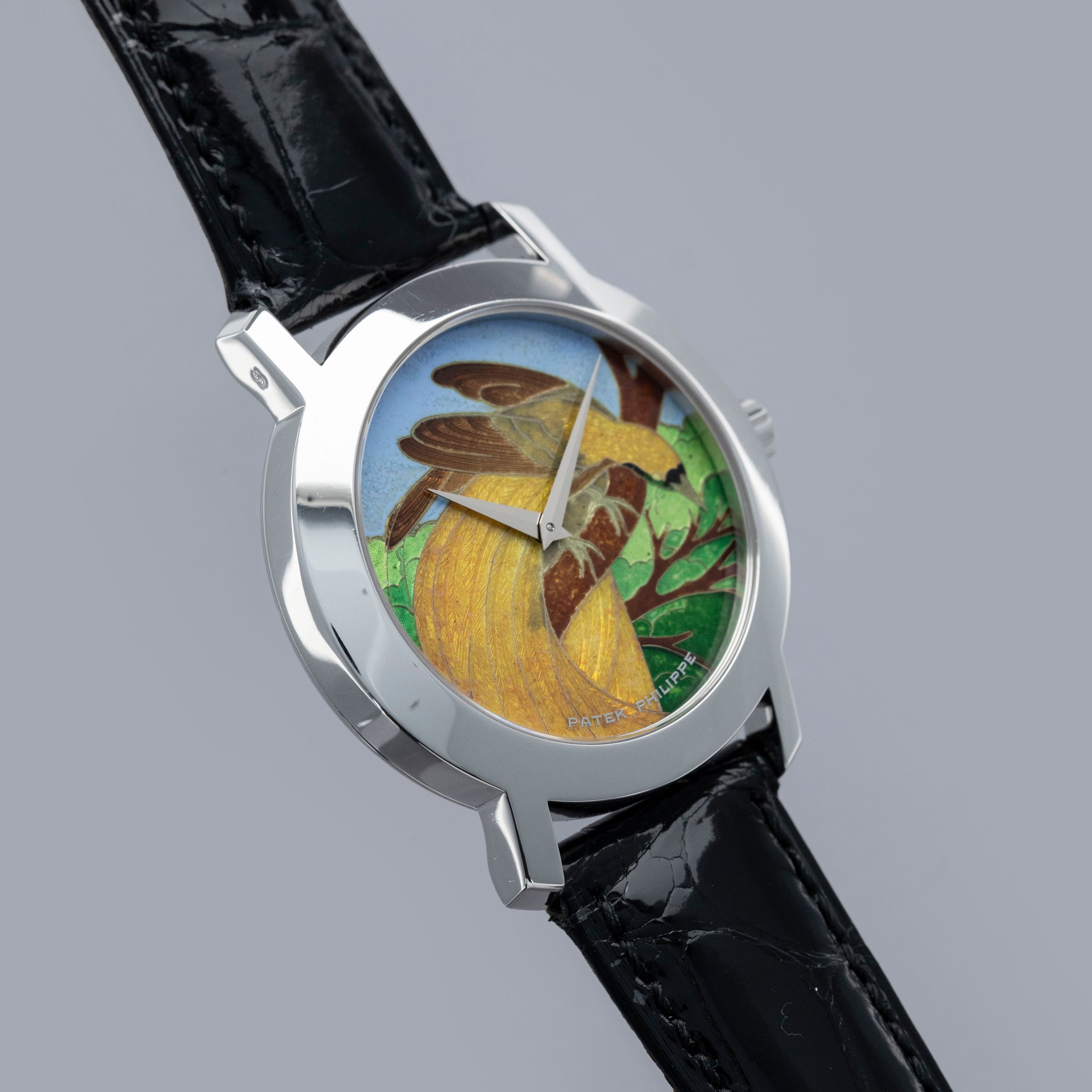 Patek Philippe Calatrava 5075G-013 Cloisonne Enamel Birds of