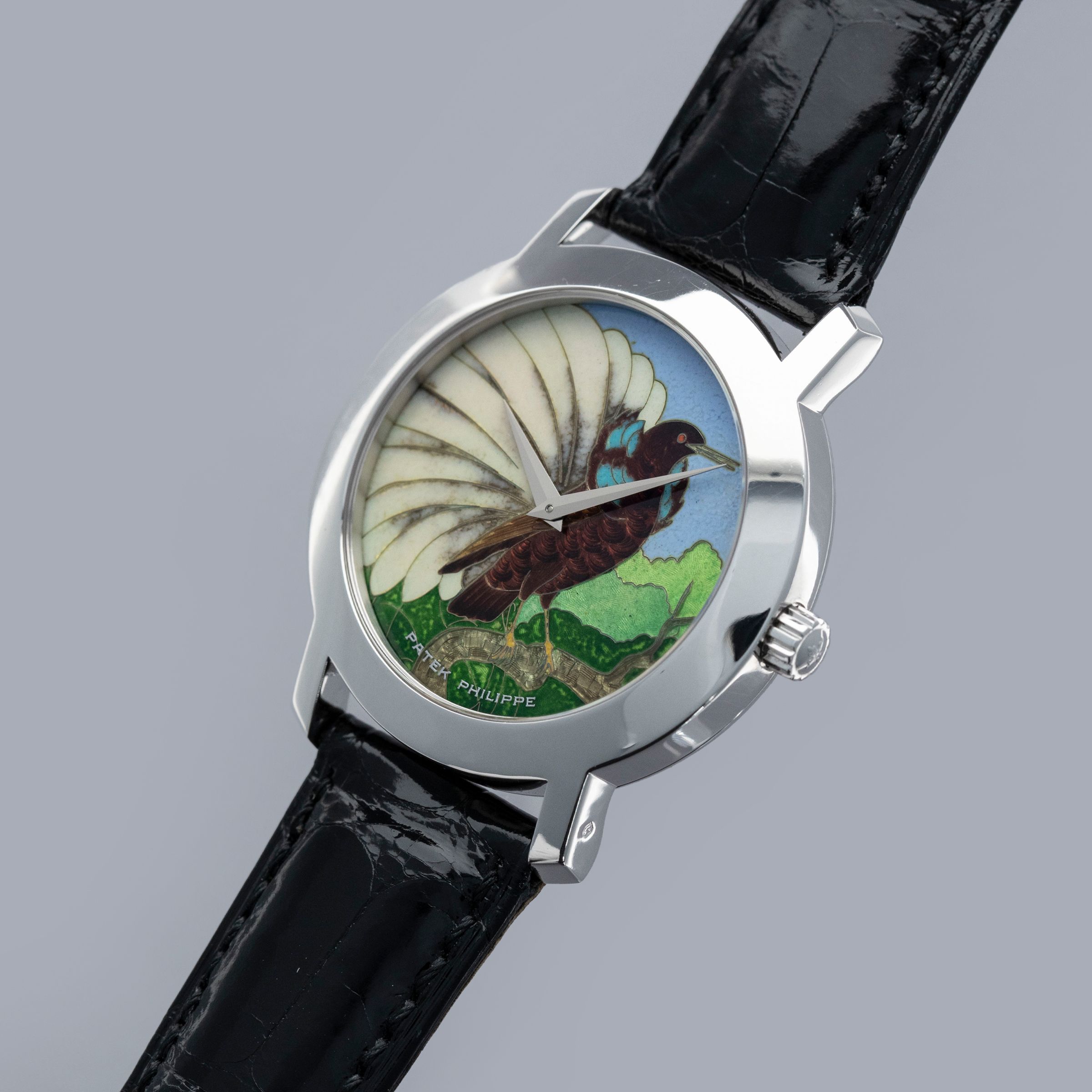 Patek Philippe Calatrava 5075G-014 Cloisonne Enamel Birds of