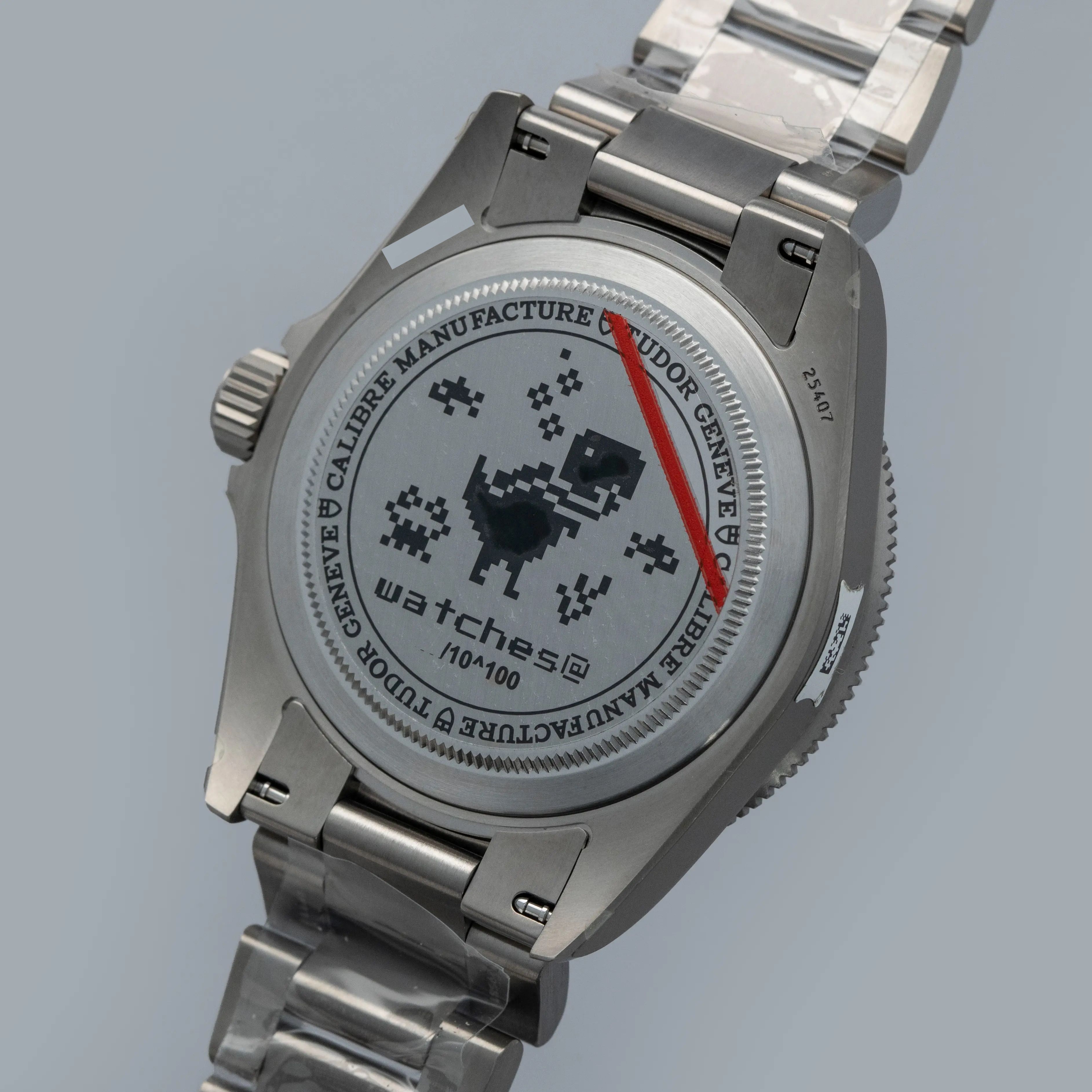 TUDOR PELAGOS 25407N GOOGLE WATCHES@ DINO TITANIUM | Auctions