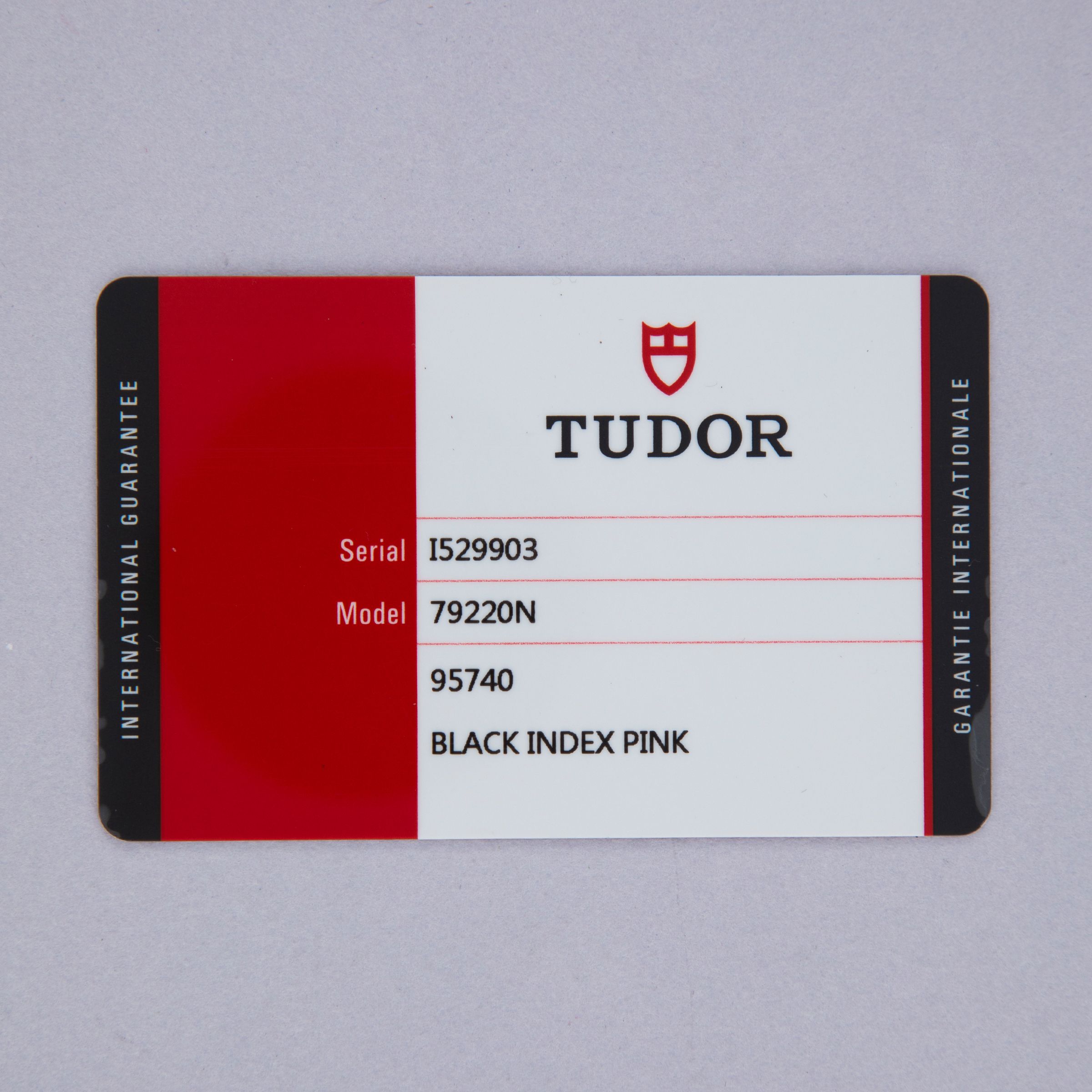 TUDOR HERITAGE BLACK BAY 79220N 