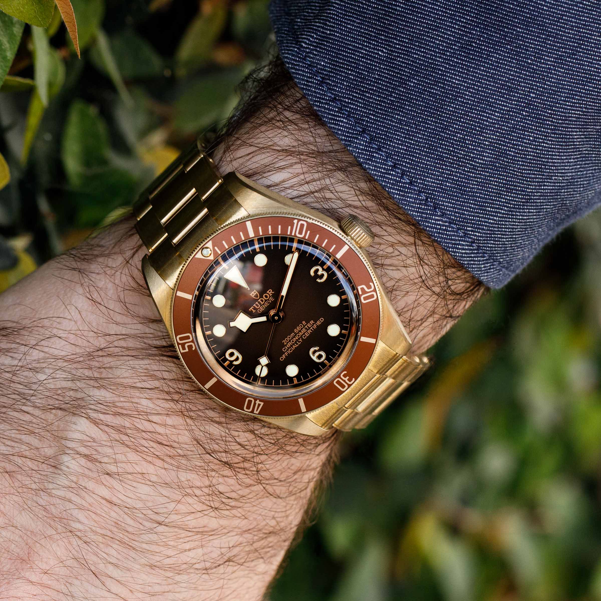 Tudor Black Bay 58 79012M Bronze | Auctions | Loupe This