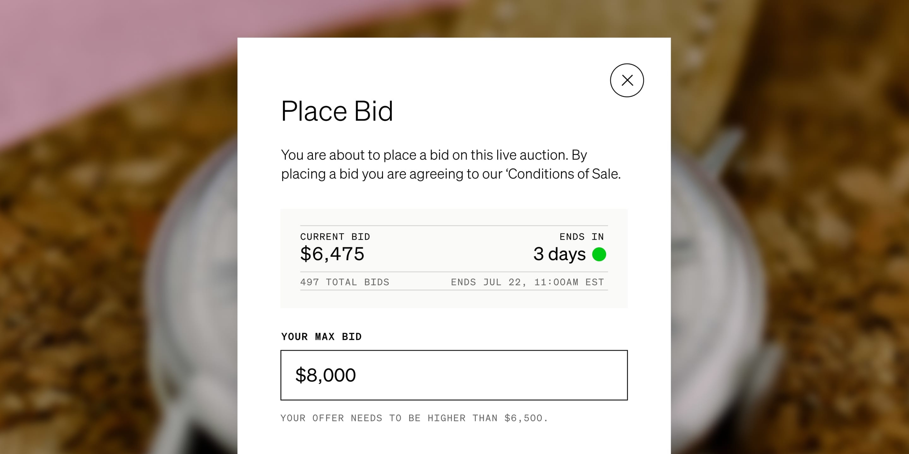 The place a bid modal