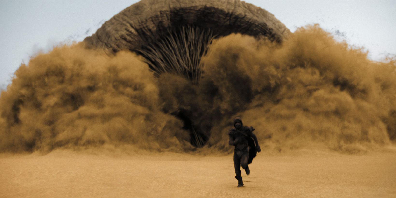Dune
