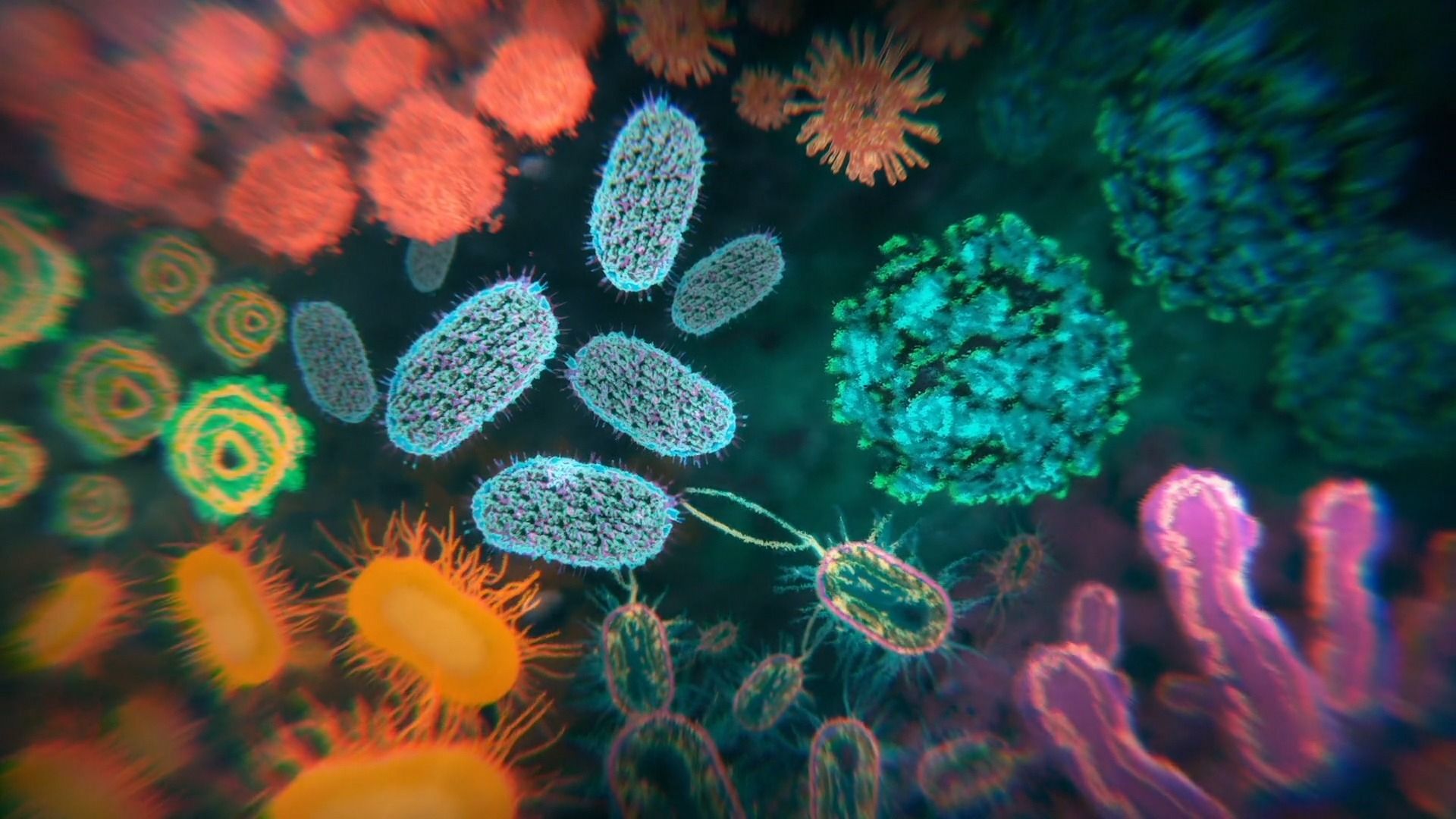 The Invisible Extinction