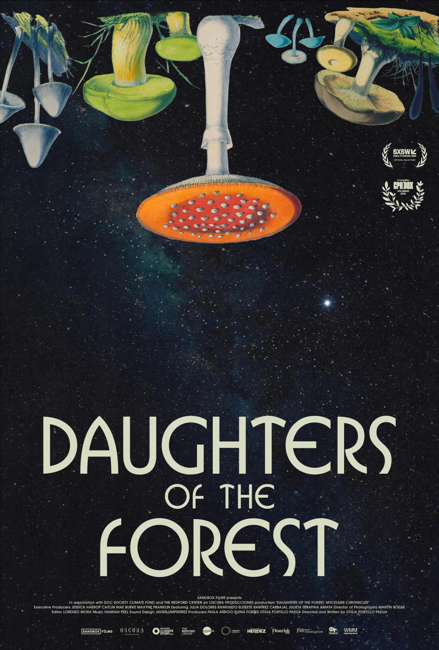 Daughters of the Forest: Mycelium Chronicles