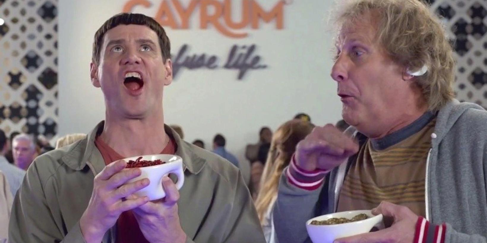 Jeff Daniels og Jim Carrey i Dum og dummere To