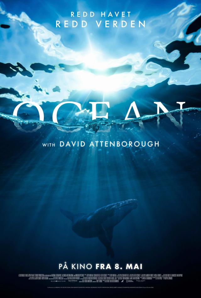 Bilde fra 'OCEAN with David Attenborough'