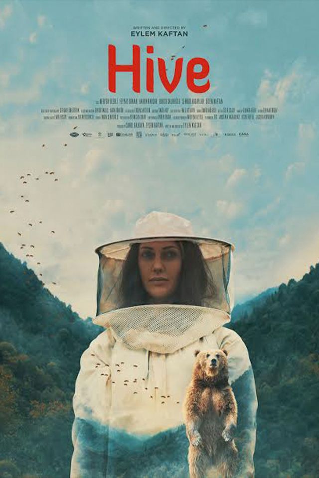 Hive