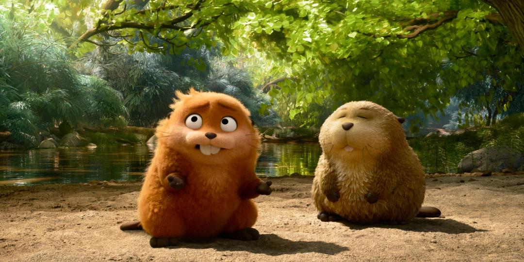 Bilde fra 'Operasjon bever'