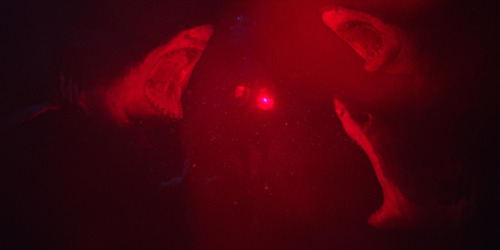47 Meters Down
