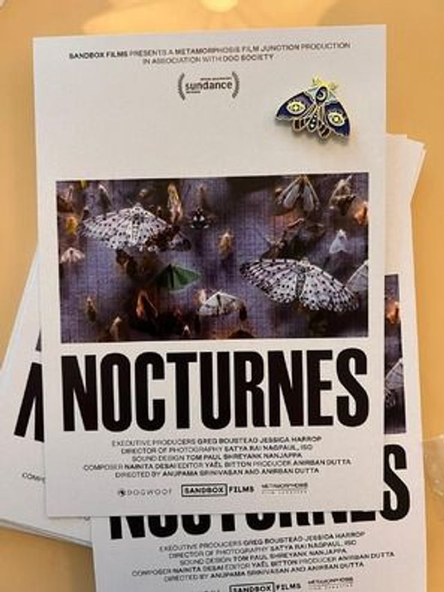 Bilde fra 'Nocturnes'