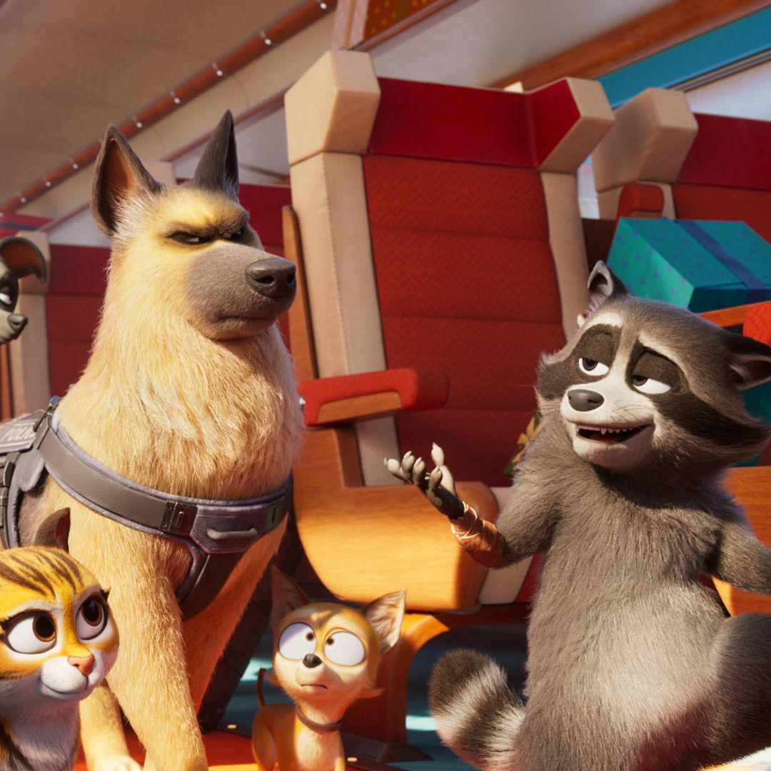 Bilde fra 'Kjæledyrekspressen'