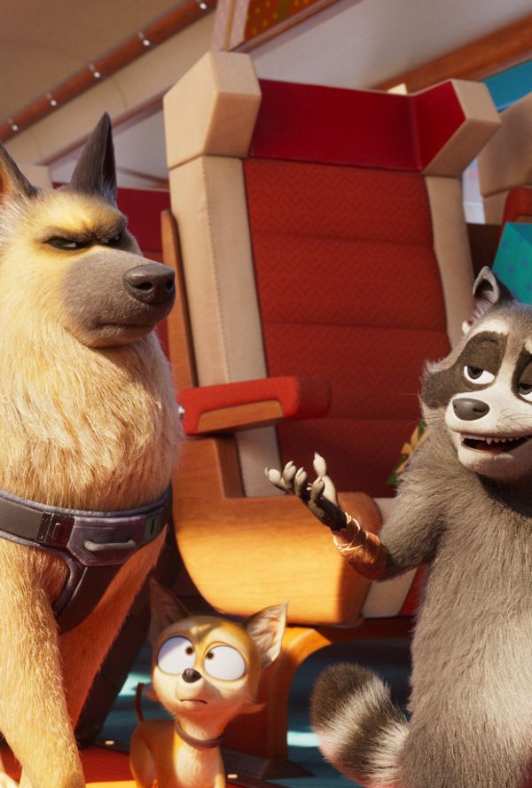 Bilde fra 'Kjæledyrekspressen'