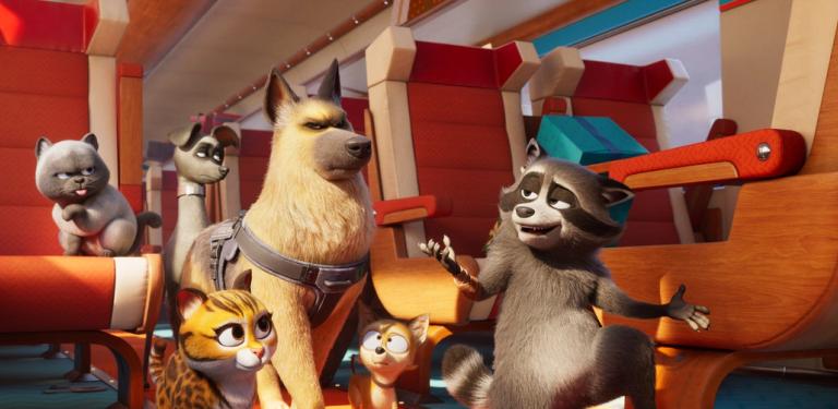 Bilde fra 'Kjæledyrekspressen'