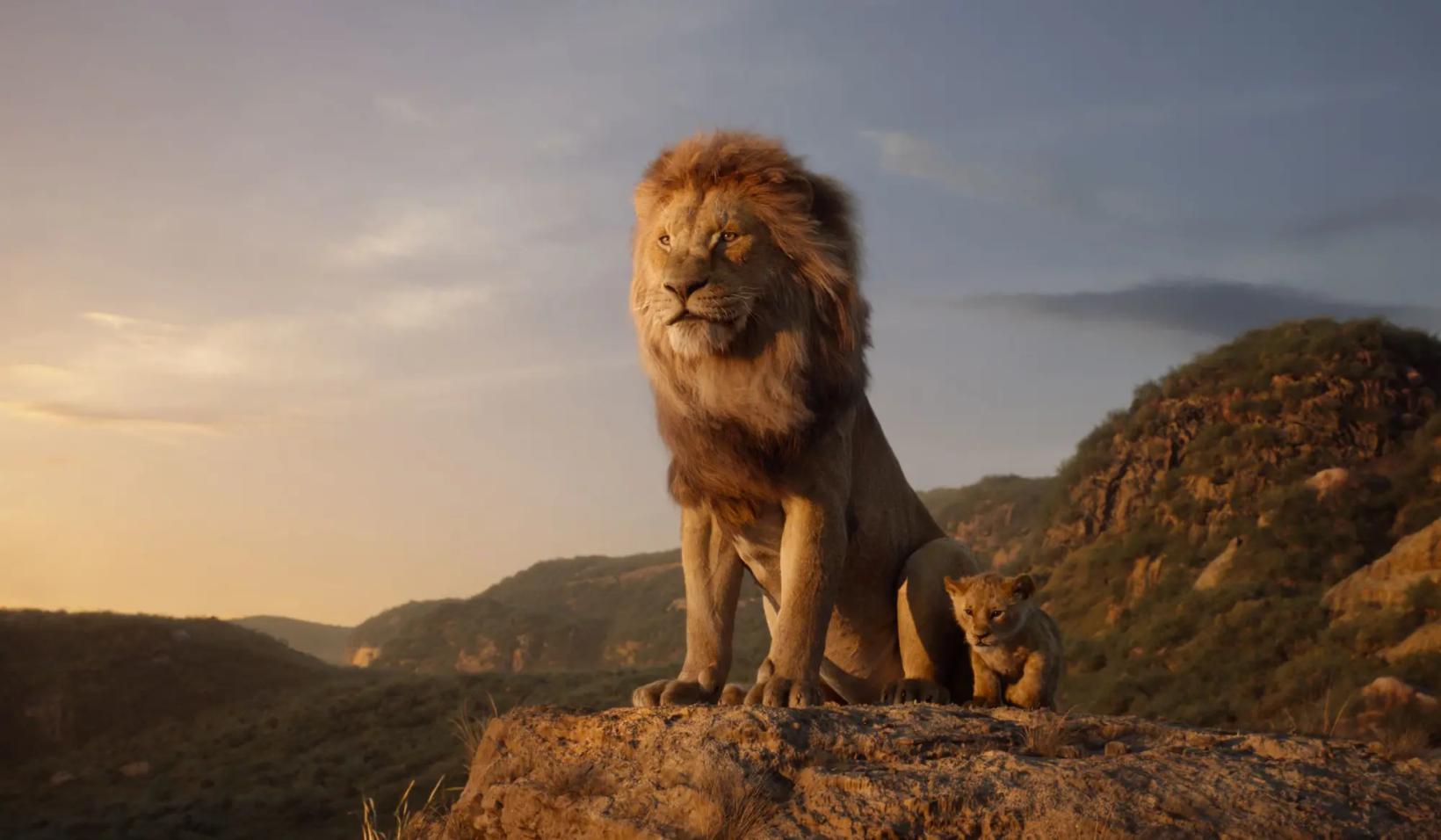 a lion and a cub on a rock