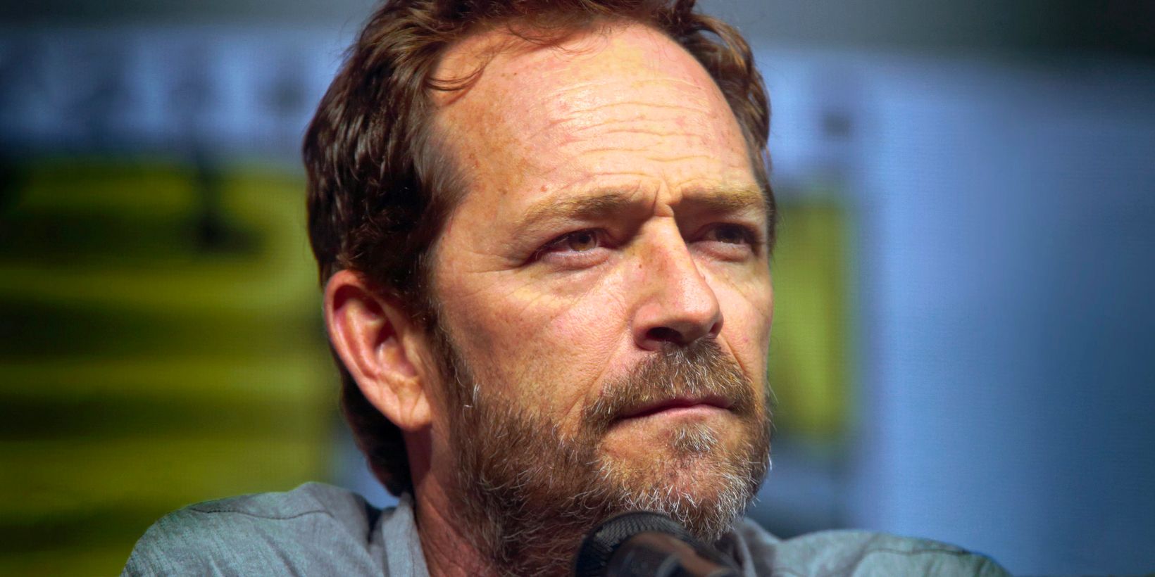 Luke Perry