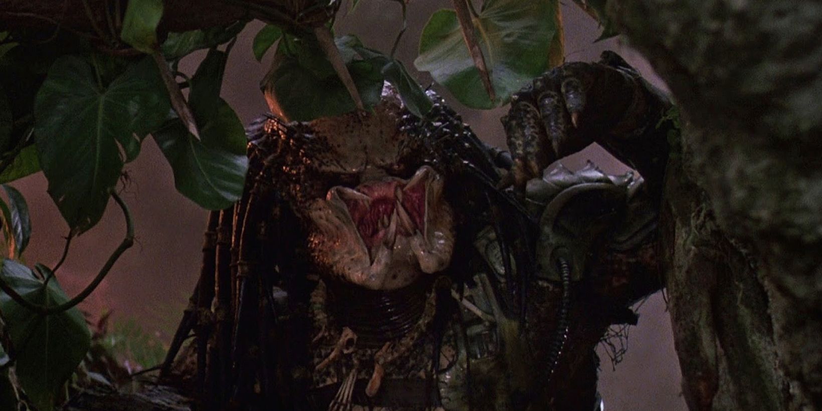 Predator (1987)