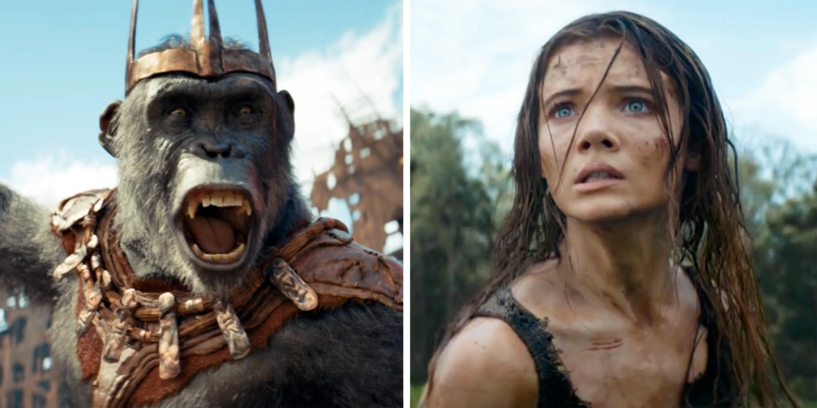 Kingdom of the Planet of the Apes