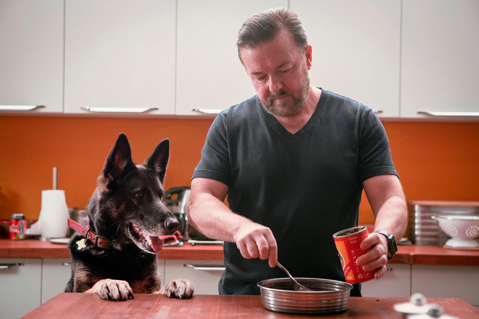 Ricky Gervais i After Life sesong 2