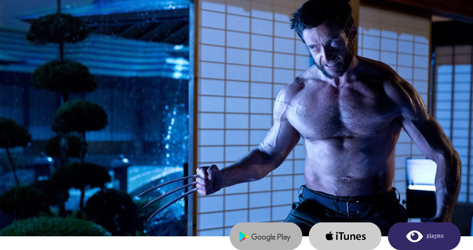 5thewolverine.jpg