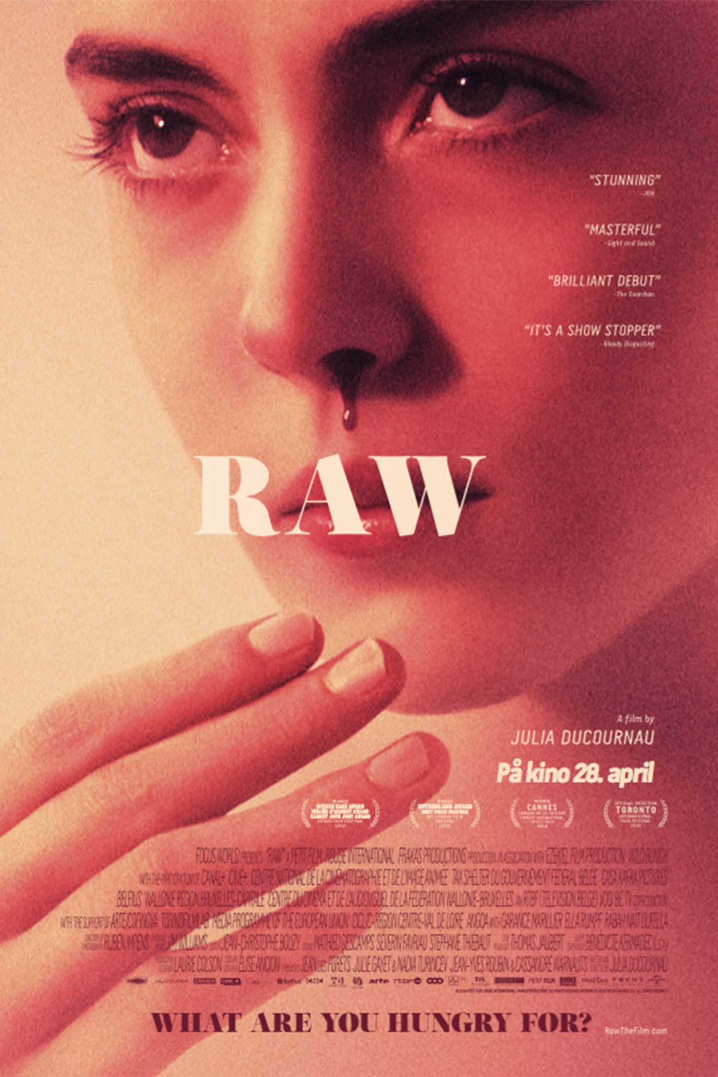 Plakat for 'Raw'
