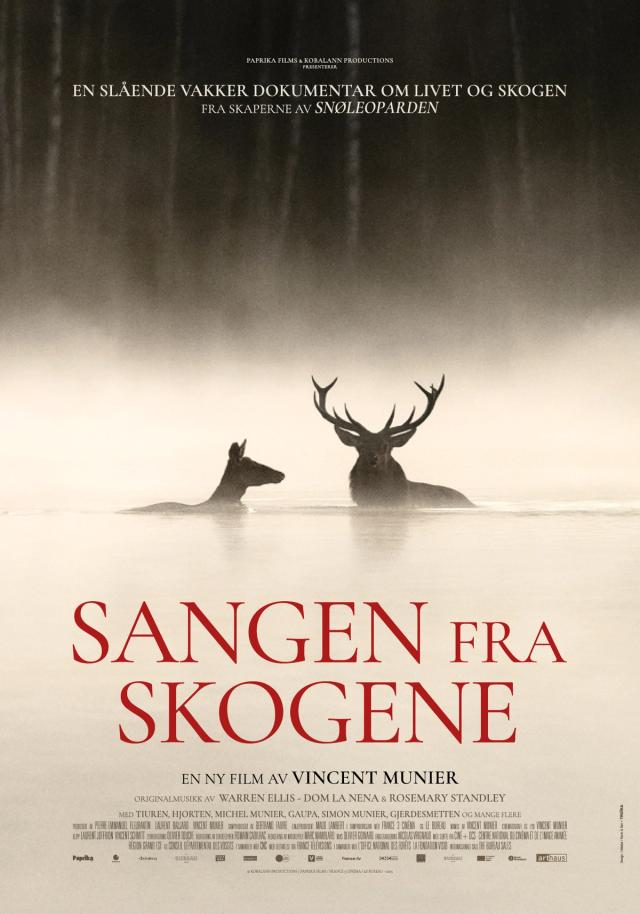 Bilde fra 'Sangen fra skogene'