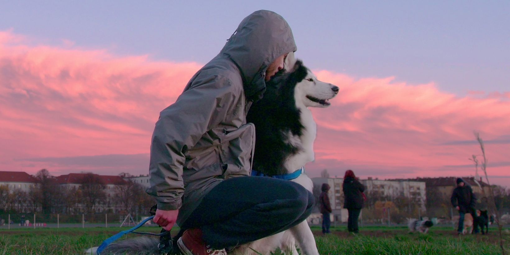 Dogs/Hunder