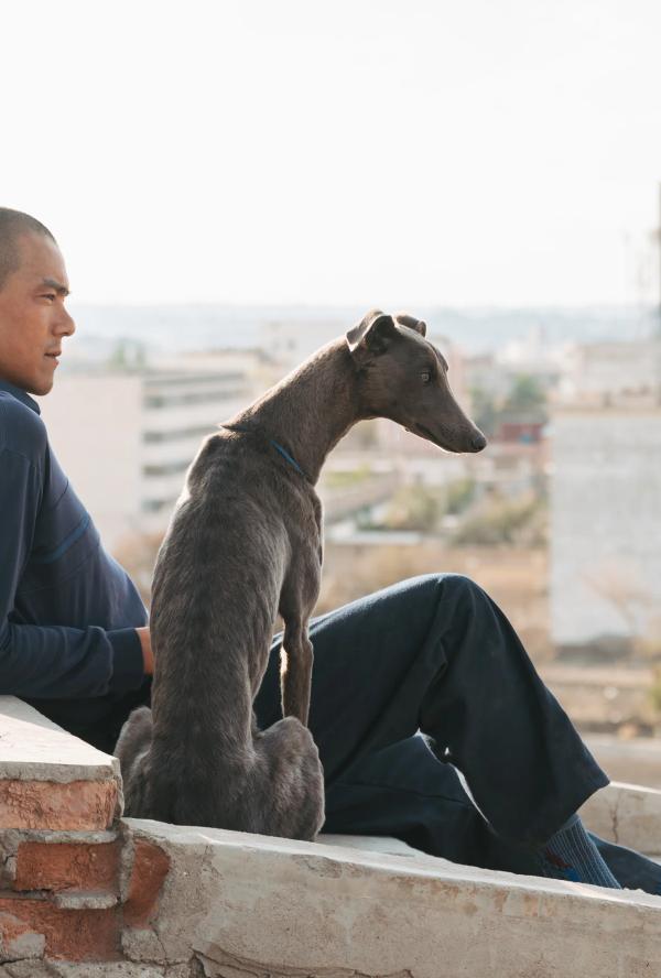 Bilde fra 'Black Dog'