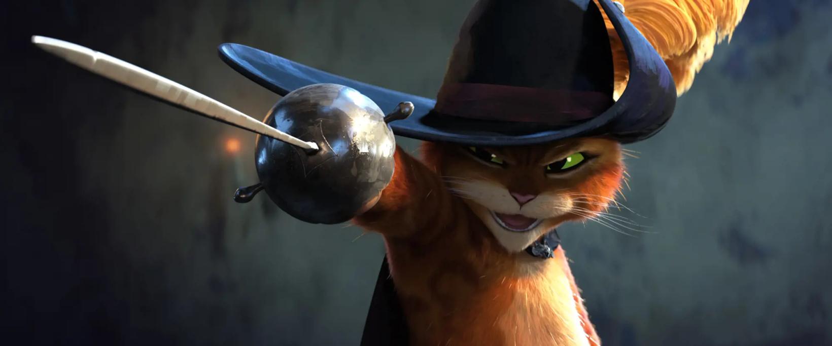 a cat wearing a hat