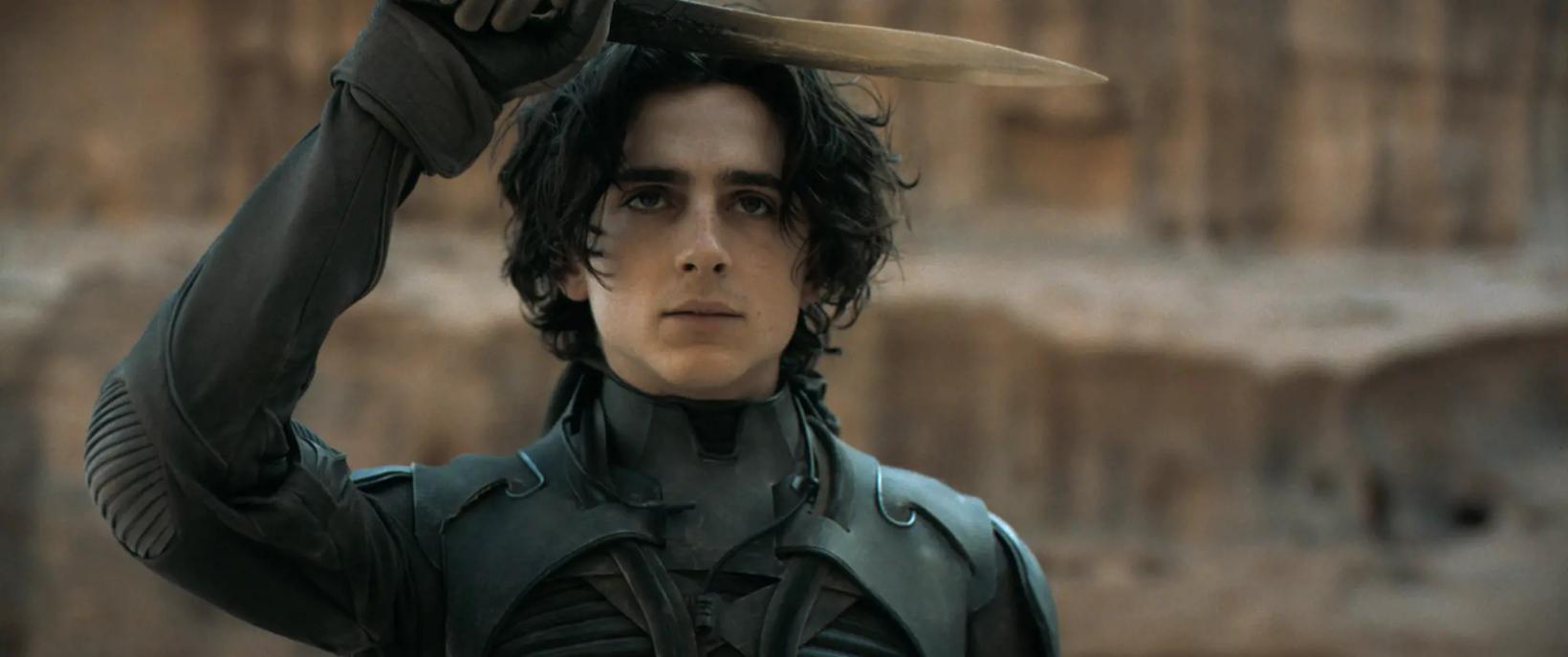 Timothée Chalamet in a garment