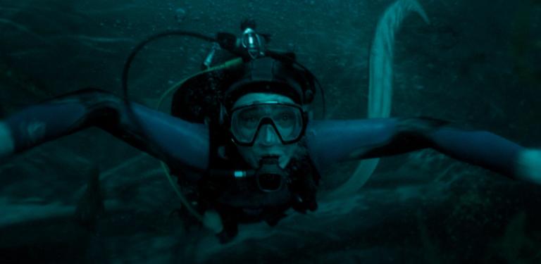 Bilde fra 'Whalefall'