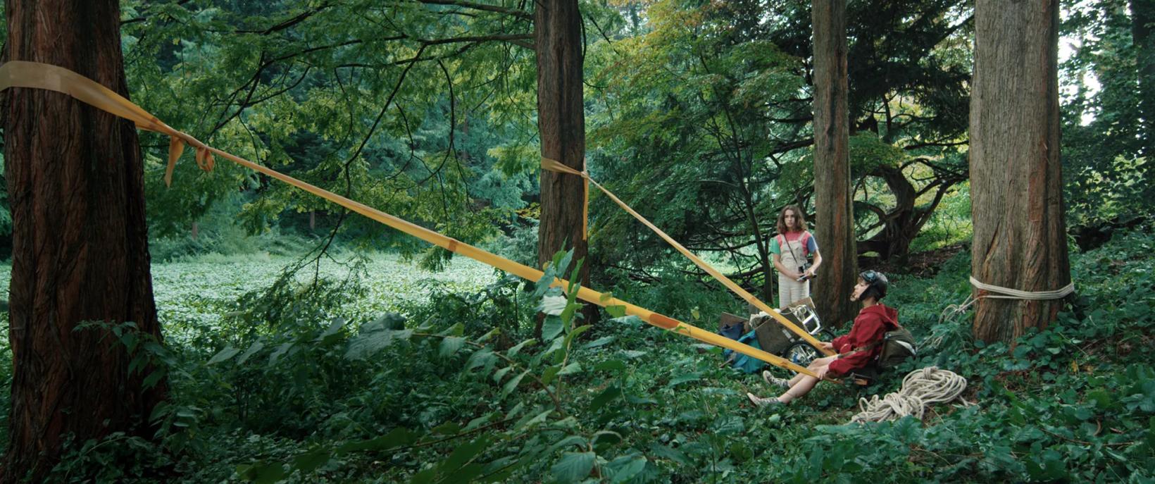 a group of people in a hammock in a forest