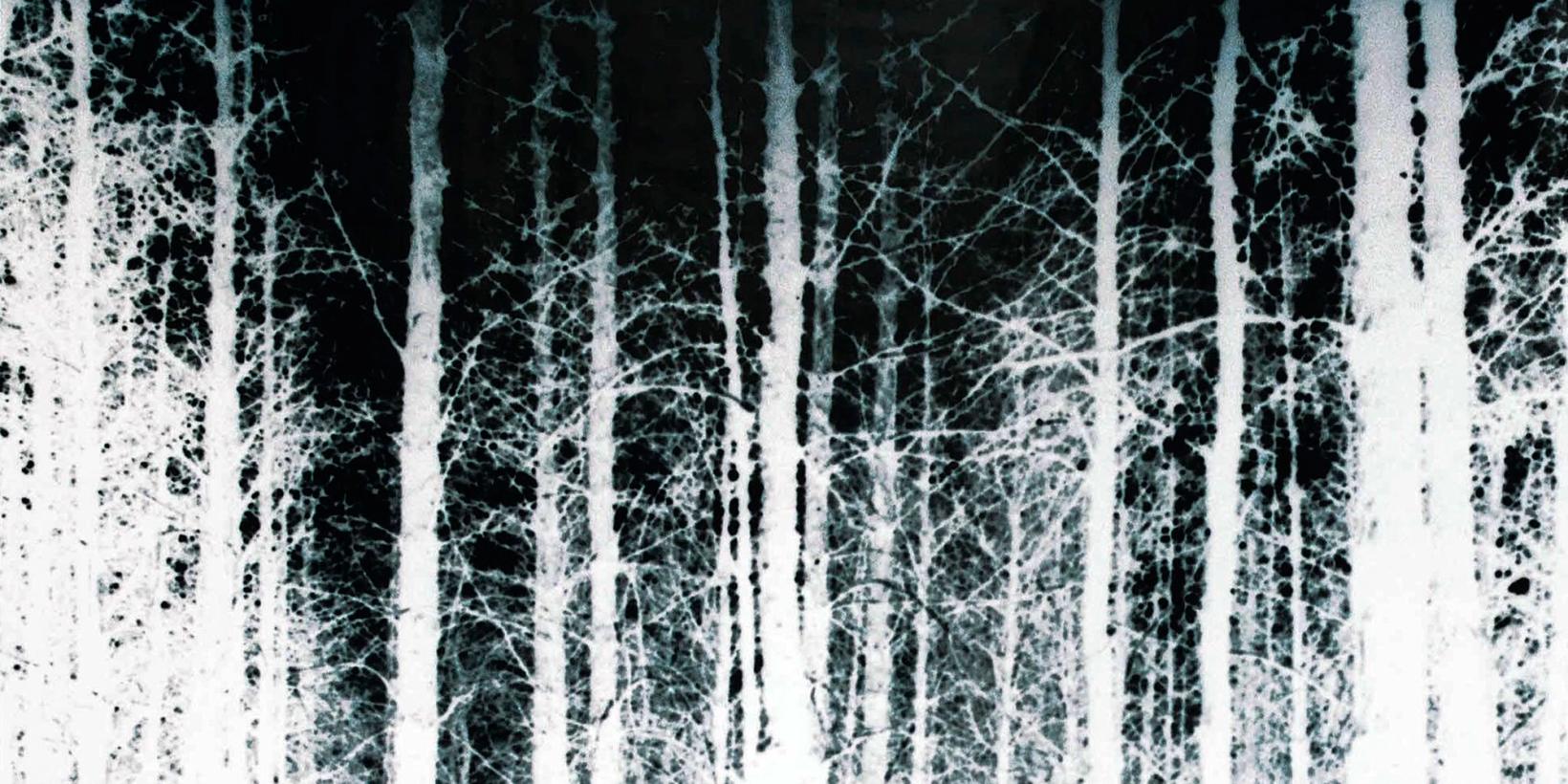 The Blair Witch Project