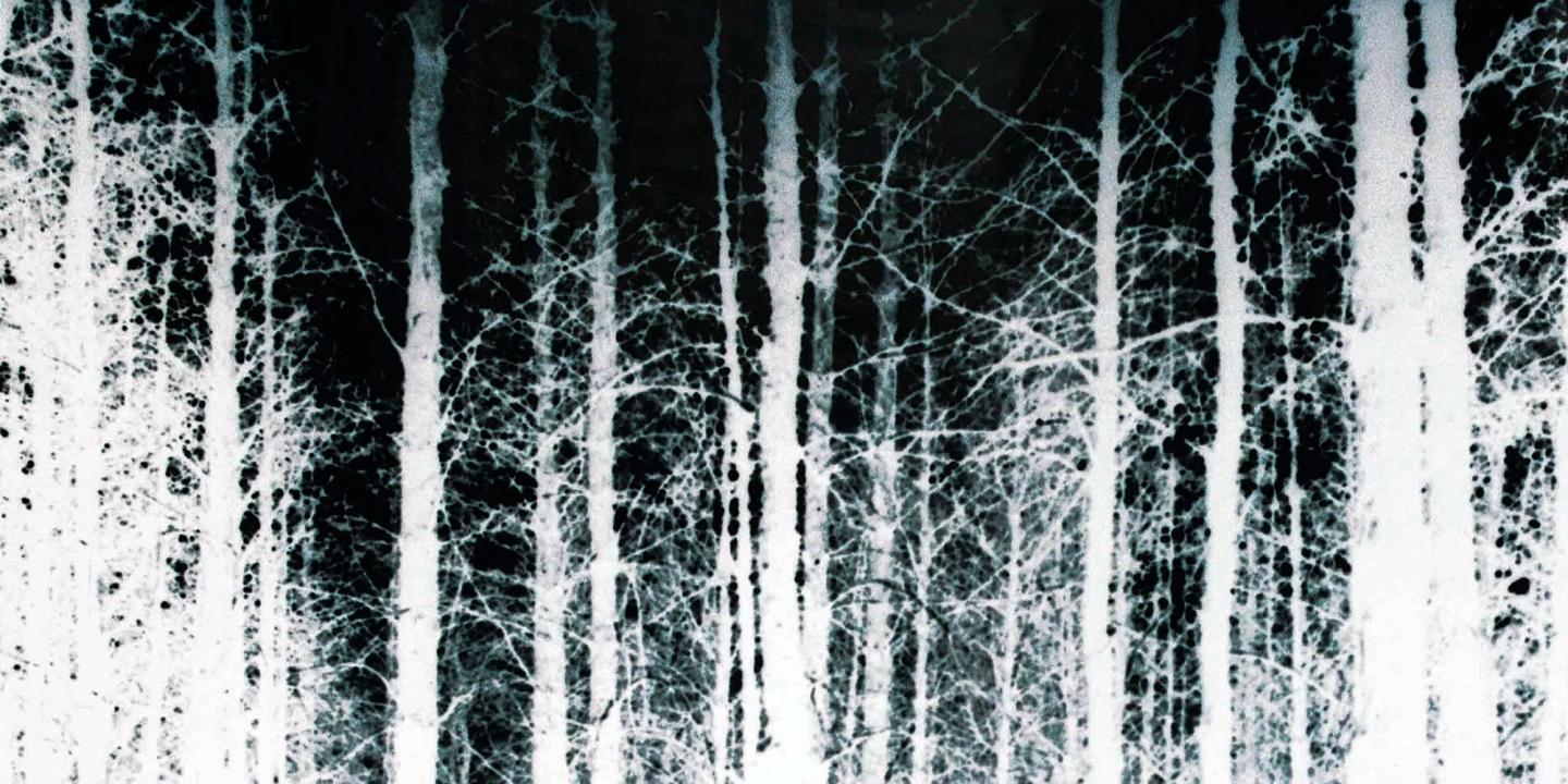 The Blair Witch Project