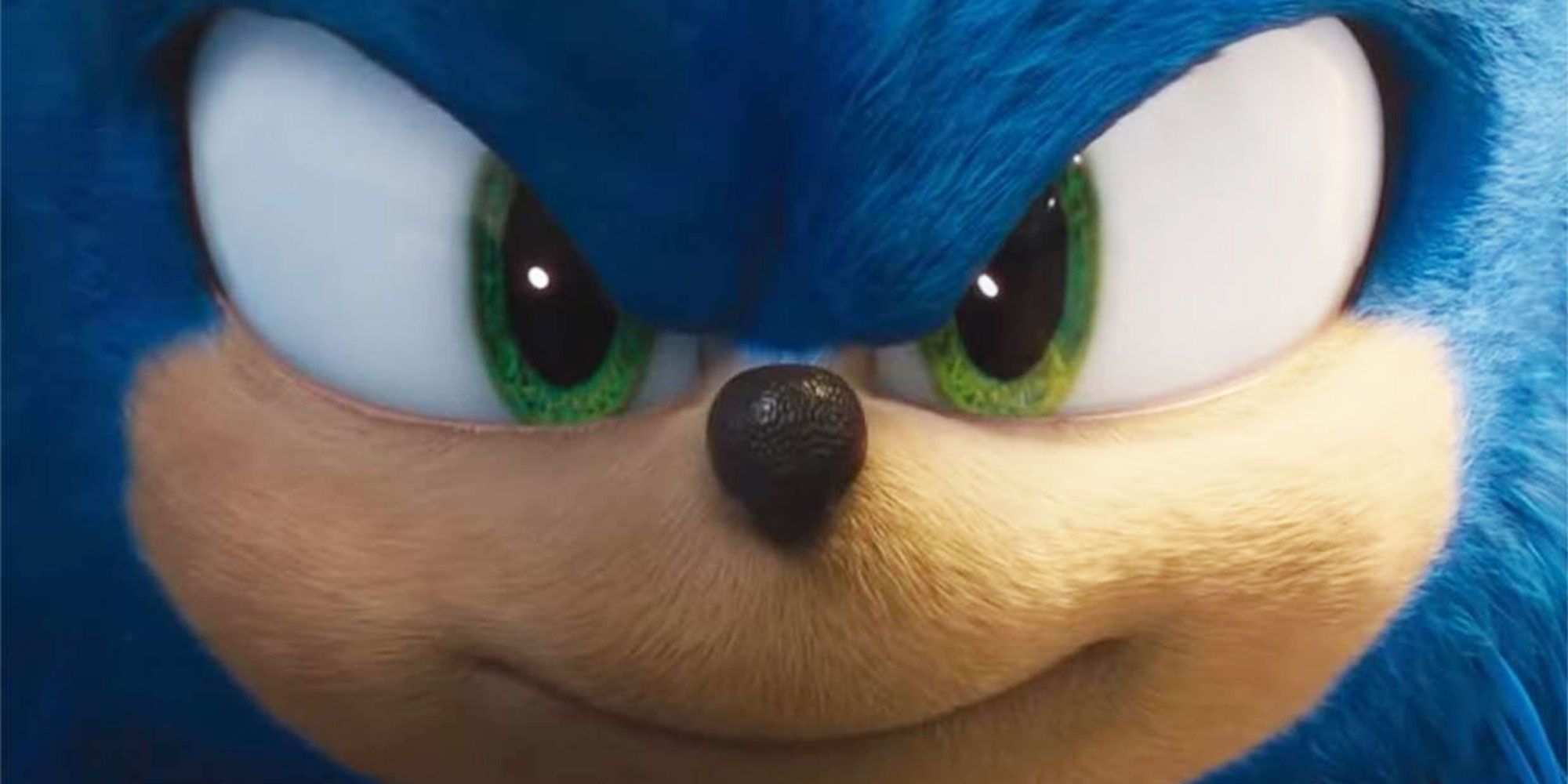 Sonic The Hedgehog