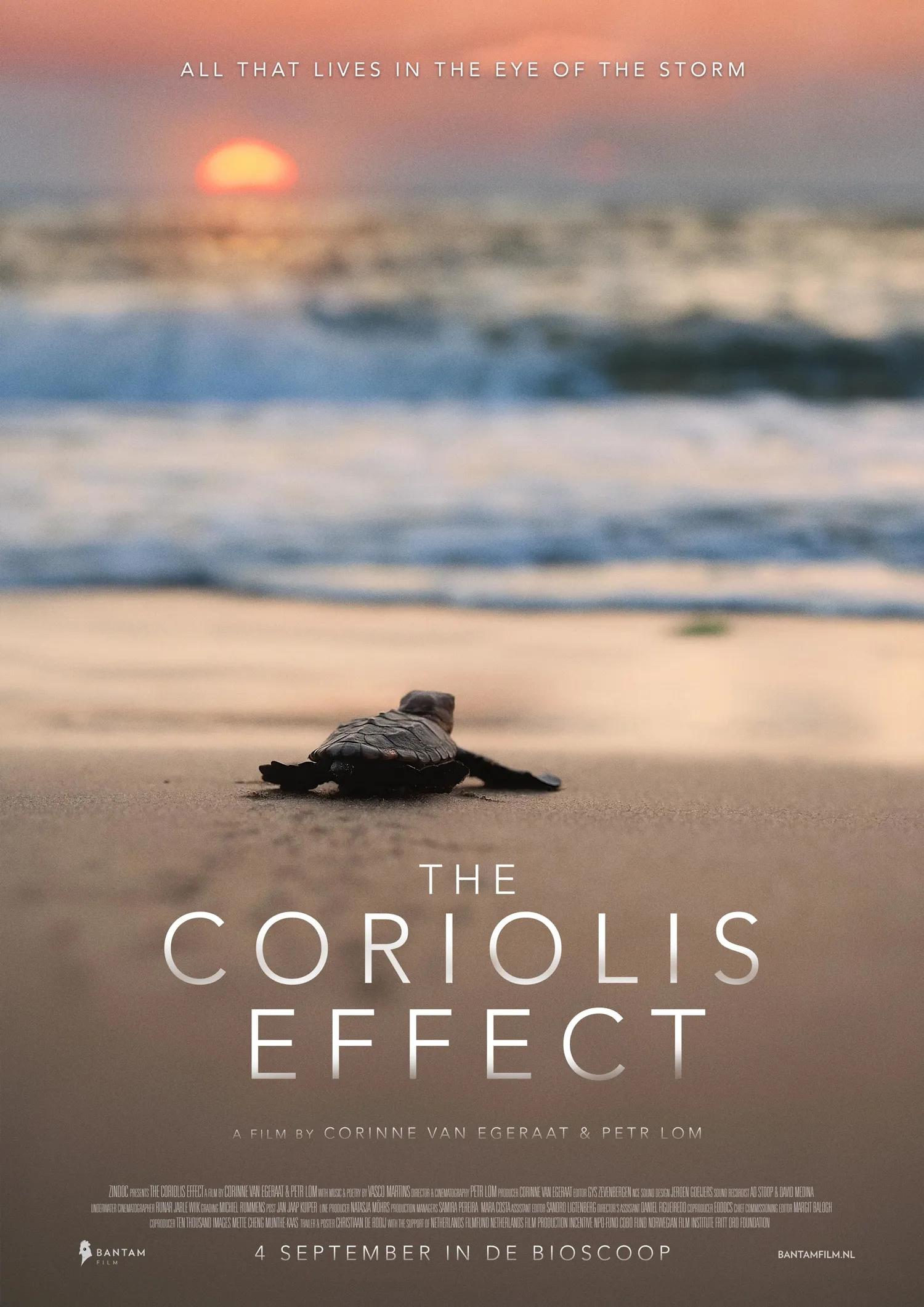 Bilde fra 'The Coriolis Effect'