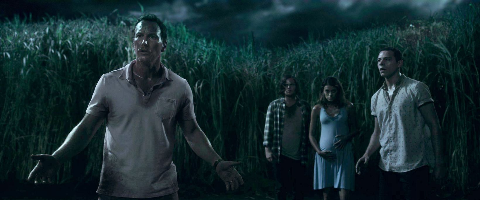 Patrick Wilson i In the Tall Grass
